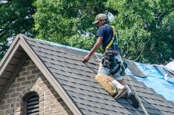 Best Roof Maintenance Services  in Kingston Springs, TN